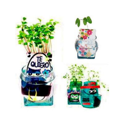 Tarjeta que nace en agua